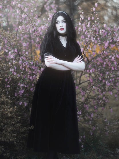 Welurowa sukienka z kołnierzem Rosemary